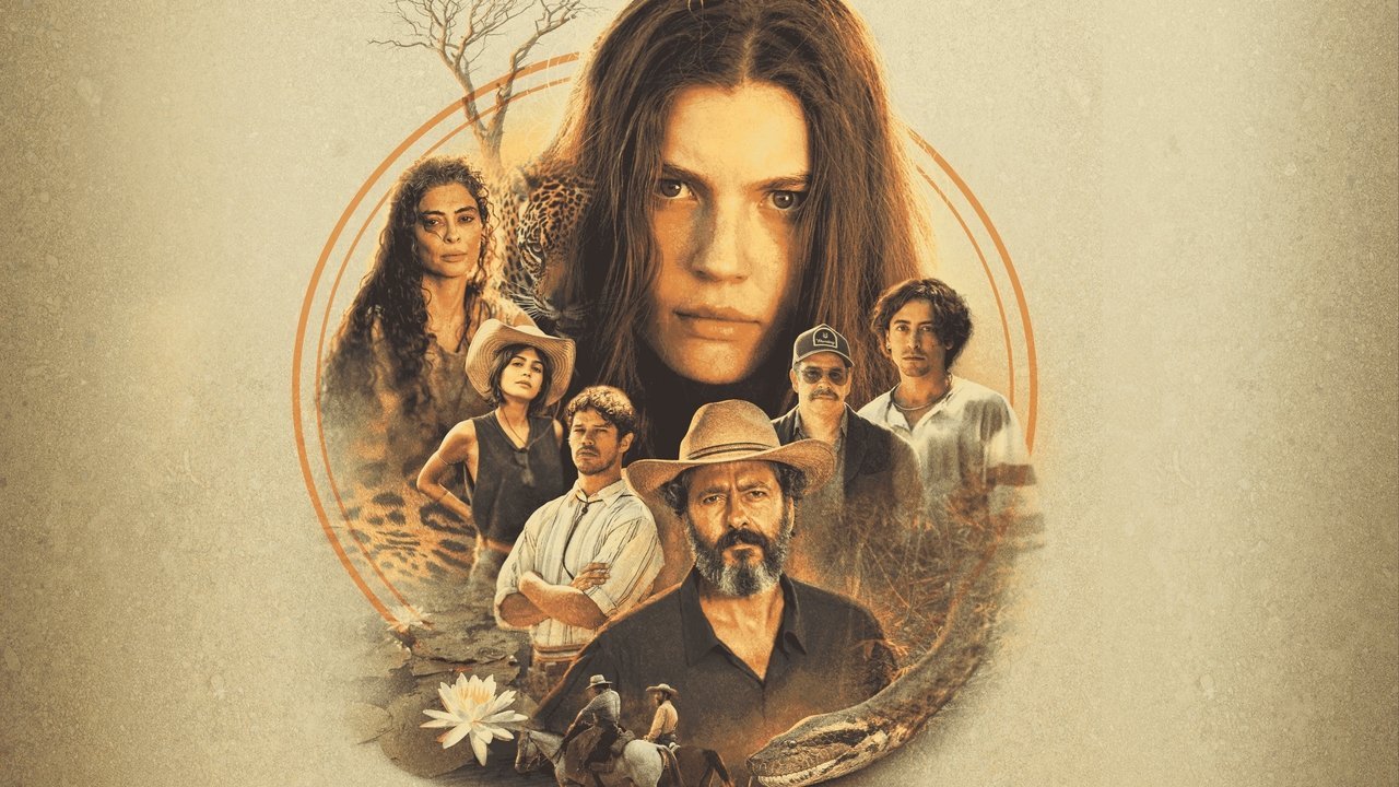 Novelas
